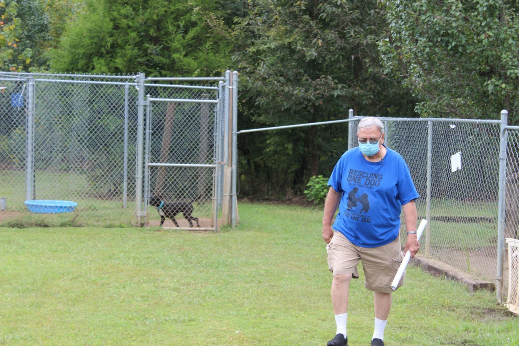 animal shelter volunteer